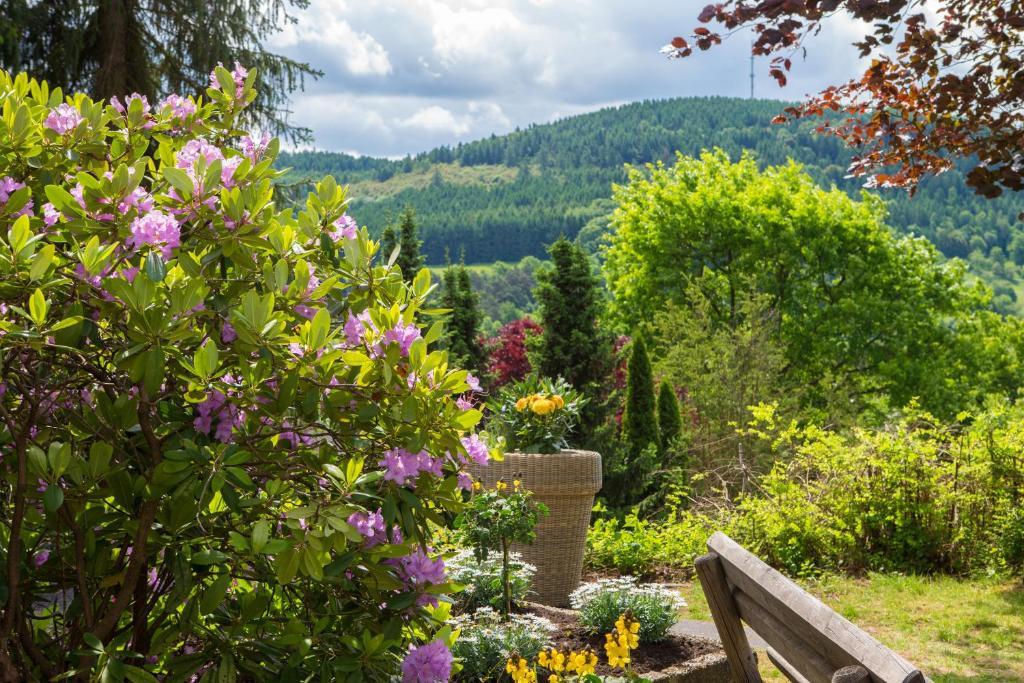 Hotel Am Fang Бад-Ласфе Экстерьер фото