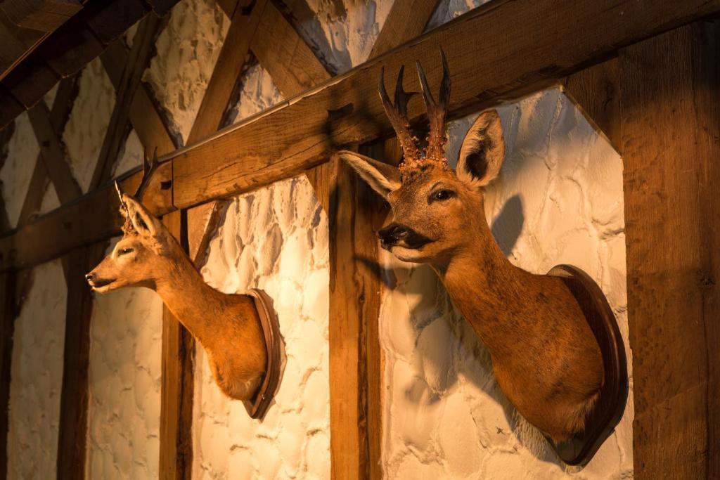 Hotel Am Fang Бад-Ласфе Экстерьер фото